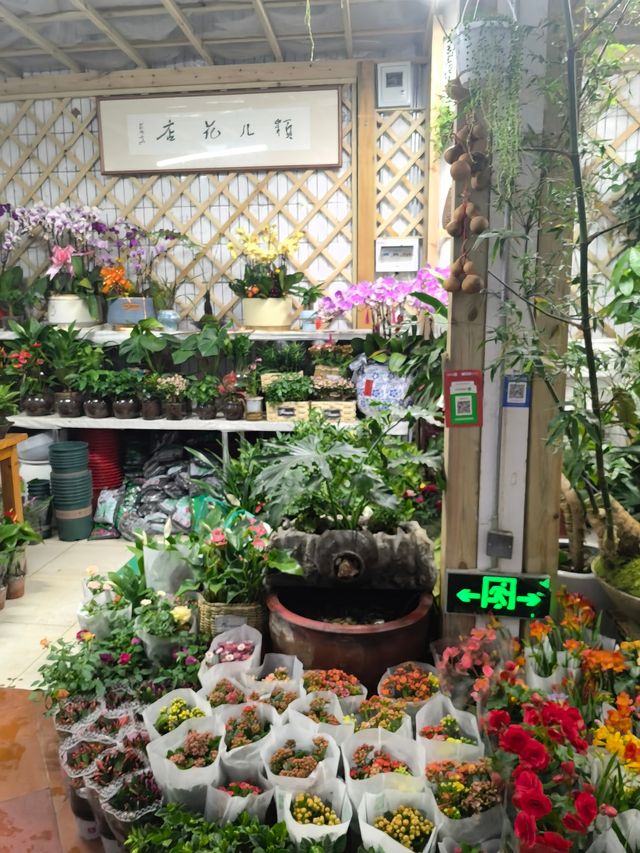 值得一逛的濟南花卉水族市場