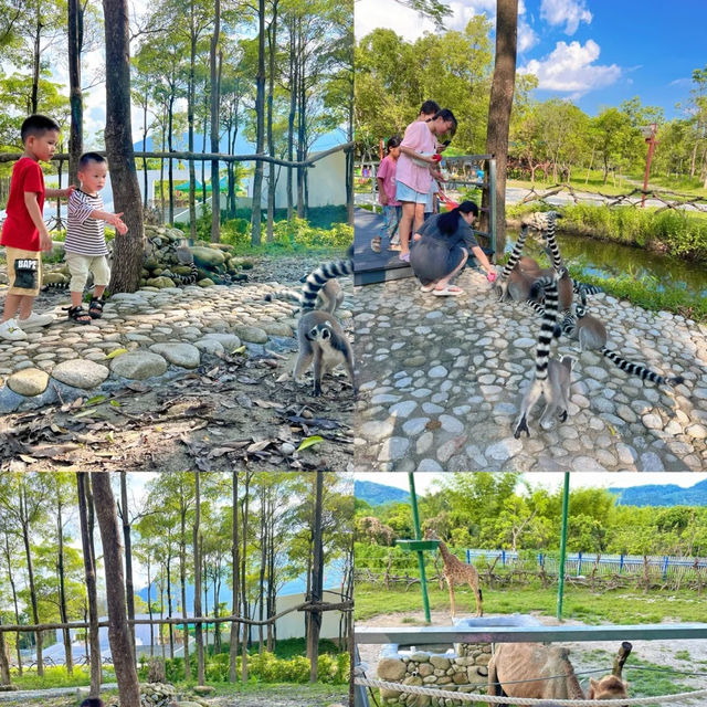 距離深圳1小時~人均19!!近距離餵動物玩水~別