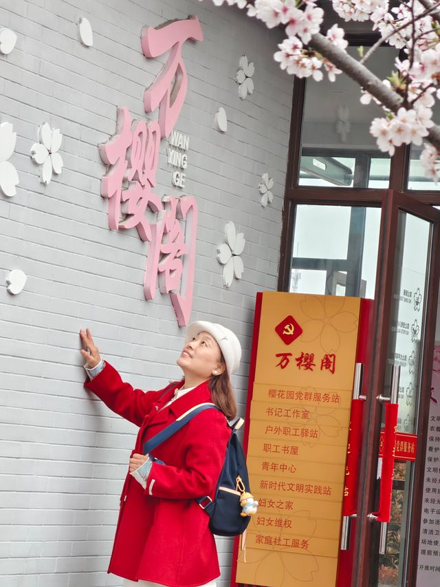 上海櫻花打卡地—浦東高東鎮櫻花園