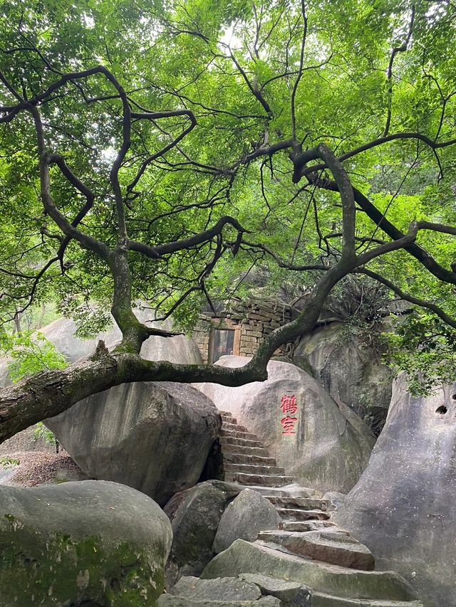 漳州雲岩洞｜隱藏在城市中的自然奇觀