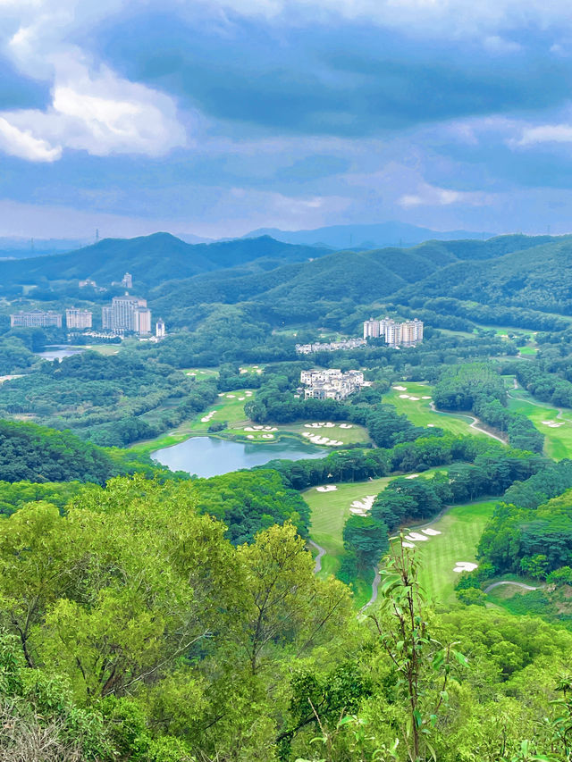 城市公園圖鑑｜去10000萬次都不夠深莞交界處的森林秘境