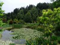 鮮花山谷——登高雲山·雲谷花境