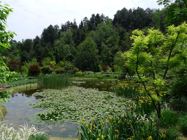 鮮花山谷——登高雲山·雲谷花境