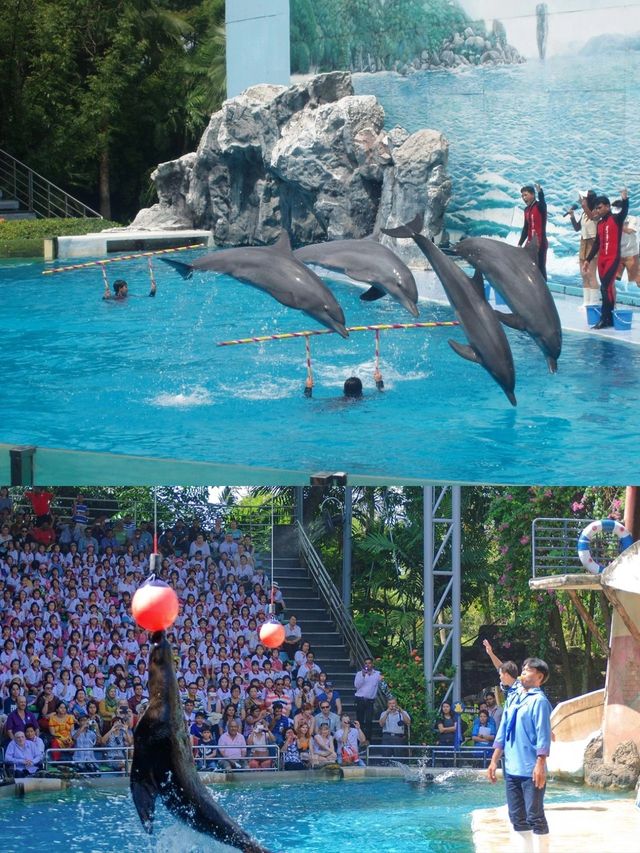 探索自然之美——曼谷野生動物世界的奇妙旅程