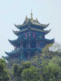 春日賞花記：鴻思寺公園