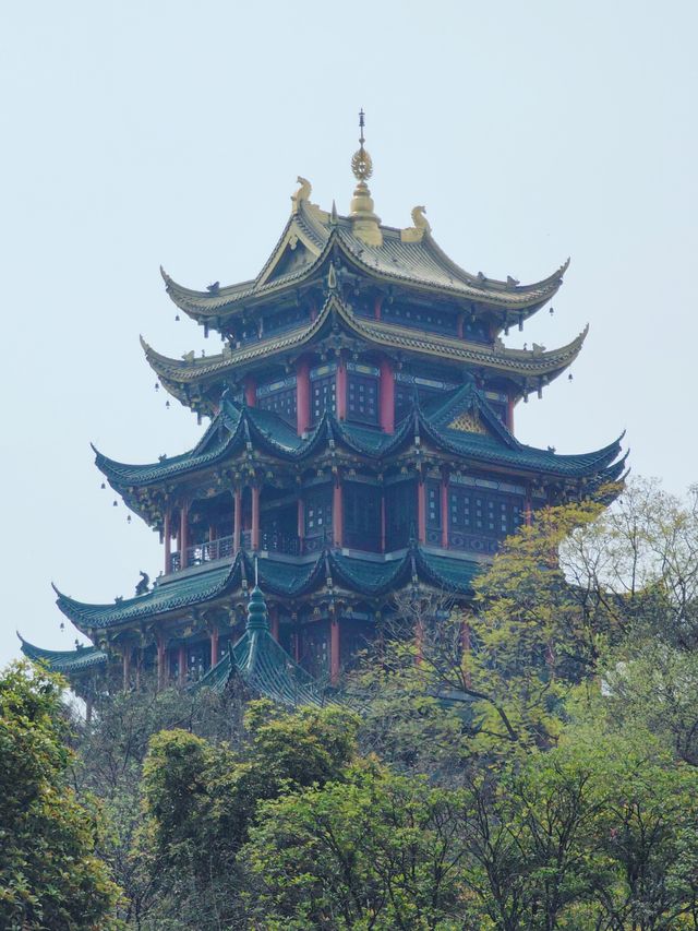春日賞花記：鴻思寺公園