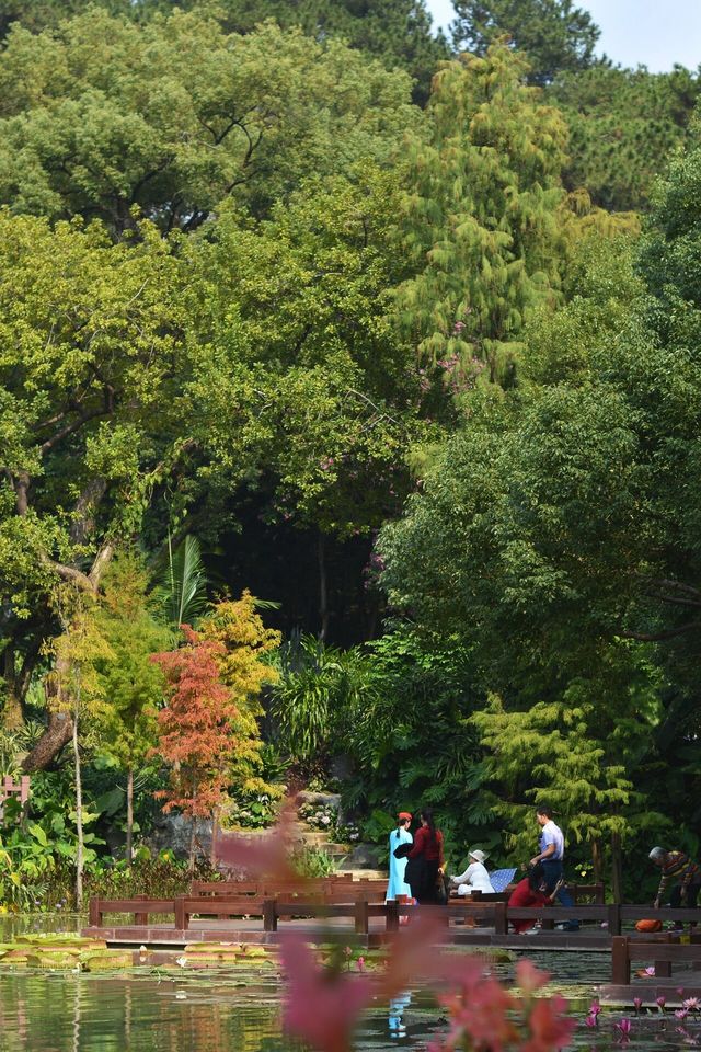 探索南寧人民公園：自然與歡樂的融合