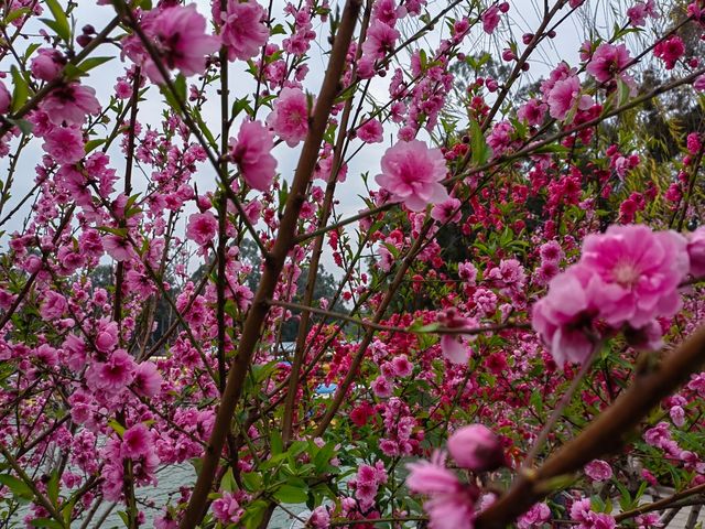 福州西湖公園