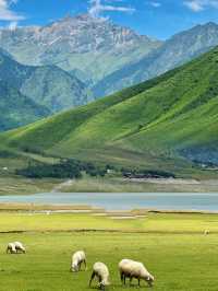 離成都最近的小新疆——冶勒湖
