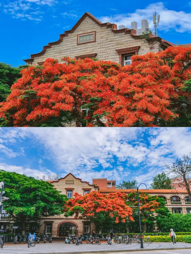 漫步廈門大學 花園一般的校園