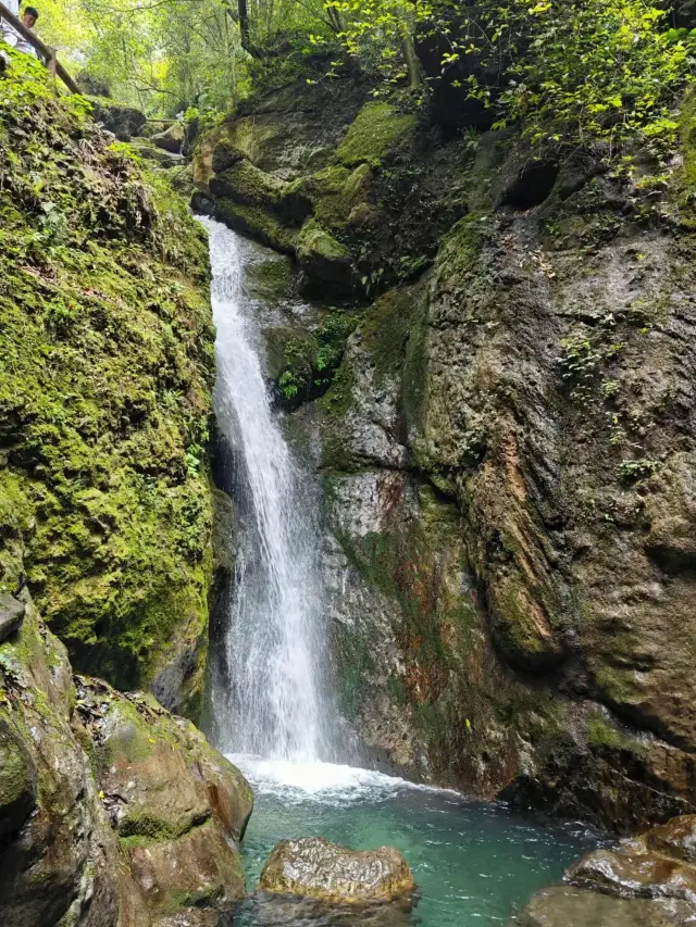 打卡青城後山