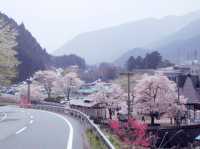 Blooming over thousand of years