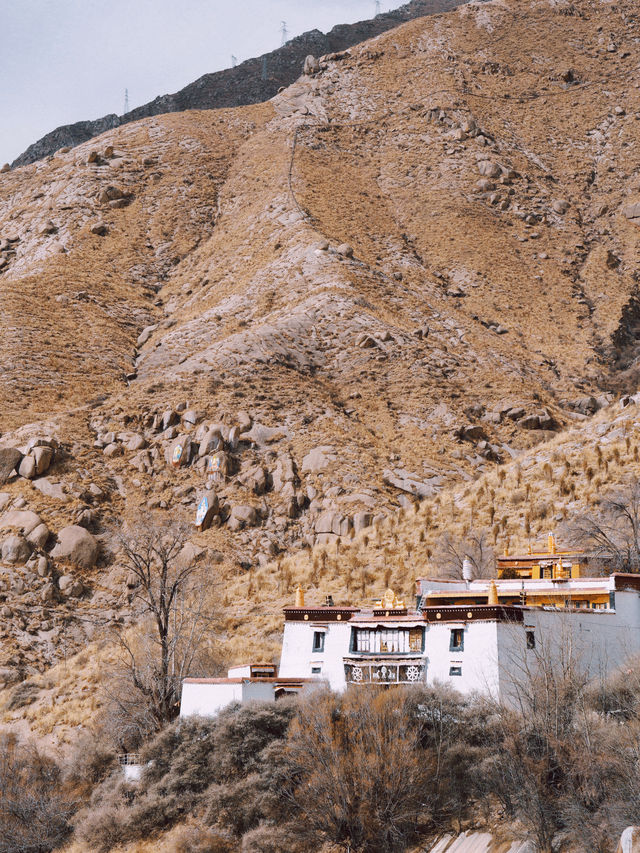 西藏旅行｜爬色拉寺後山