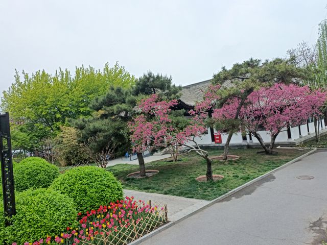 20240414 金中都公園