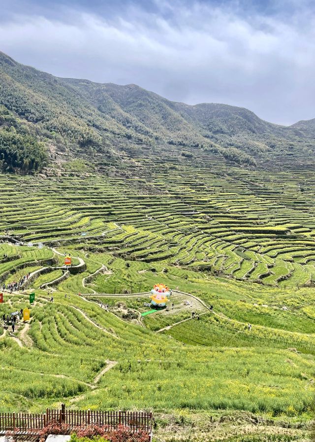 上海出發日徒步｜覆卮山·石浪·油菜梯田