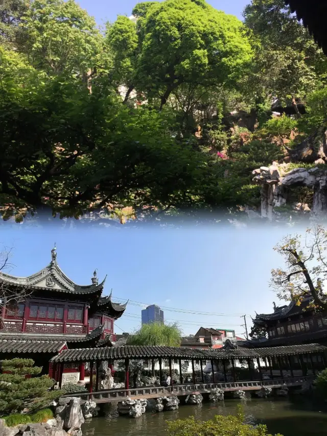 Let's go for a spring outing in Yu Garden