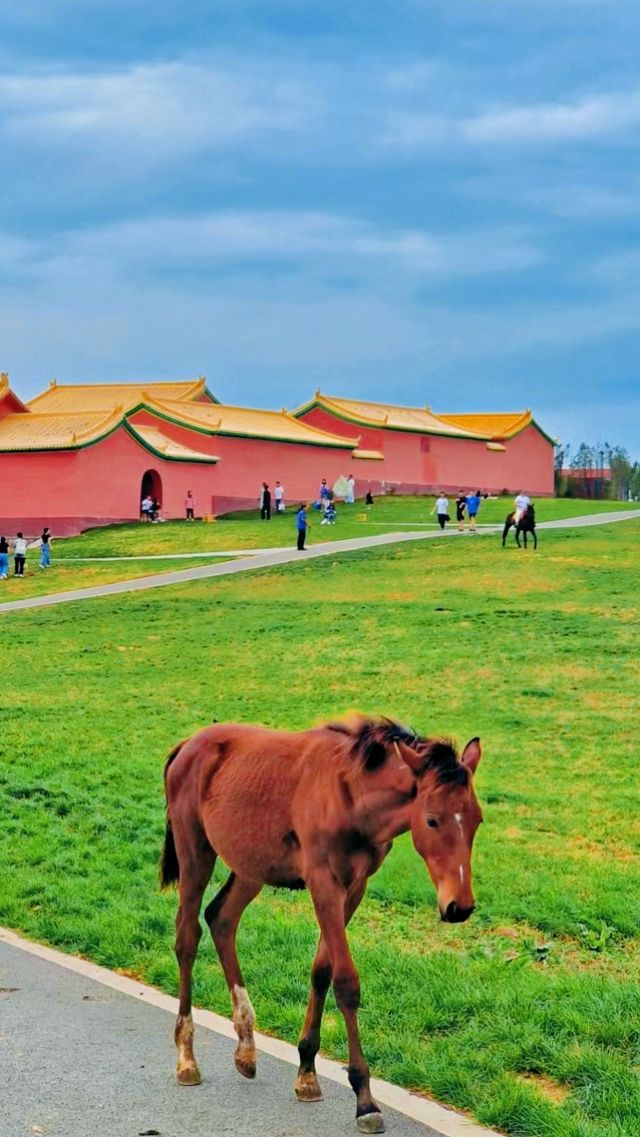五一不推薦的地方，怕人太多你擠不進去!   !   !