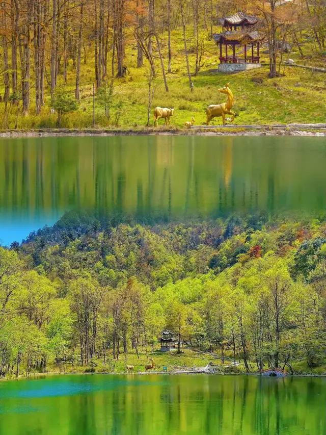 狂った場所は海外ではなく、四川の原生林です
