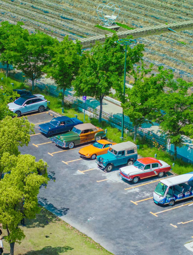 這不是宮崎駿的動畫,這是上海0元公園 這不是宮崎駿的動畫,這是上海0元公園