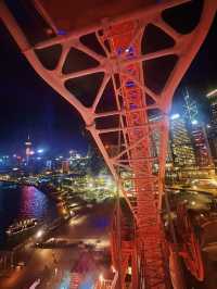 坐中环摩天轮，赏维港夜景