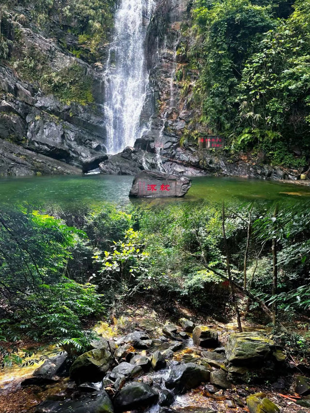 鄭州周邊1h到滿眼綠色的小山野森林徒步溯溪