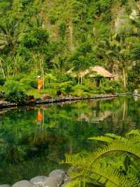 🌴✨ Bali Bliss: Discover Ubud's Luxurious Royal Pita Maha! ✨🌴
