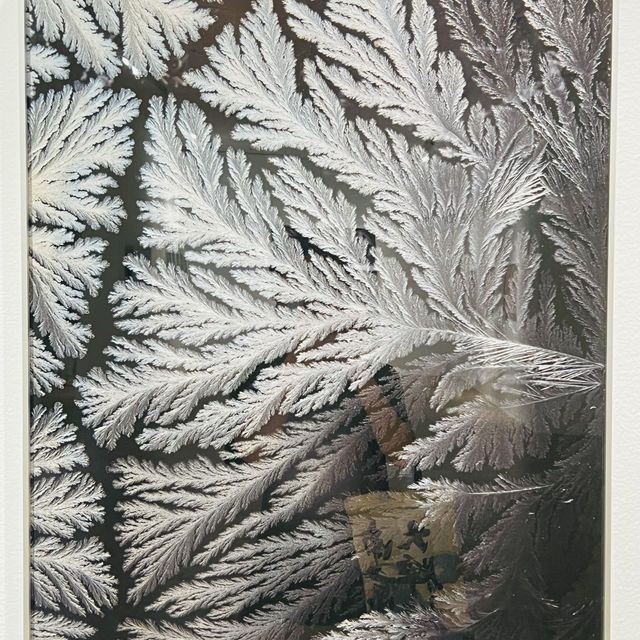 來深圳光明文化藝術中心美術館一起看展啦