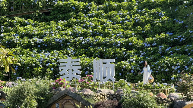 泰順最新自駕網紅打卡地、筱村公社最值票價的人像拍照景點