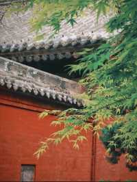 細品韓城，藏在巷子裡的陝西第一文廟