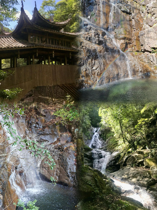 森林氧吧—山清水秀的溫州最高峰—烏岩嶺攻略