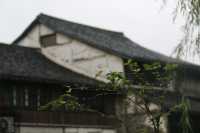 當金山下了雨，就美成了如詩如畫的“煙雨江南”