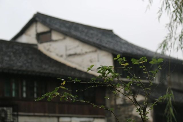 當金山下了雨，就美成了如詩如畫的“煙雨江南”
