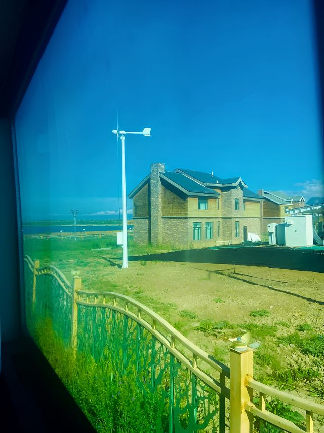 賽里木湖免費花海丨美到哭附賞花攻略