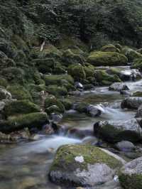 飛茑集｜秦嶺深山腹地，真正的夏日避世民宿