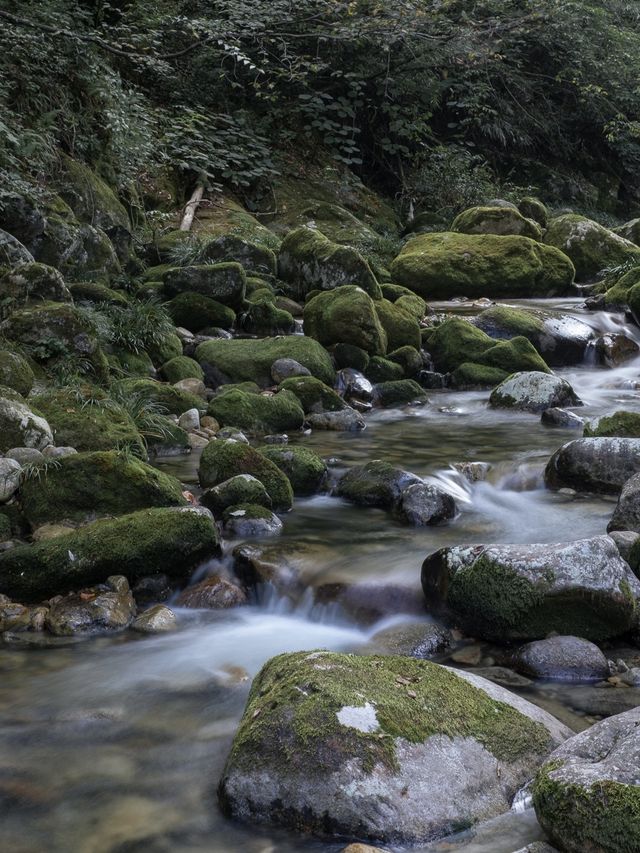 飛茑集｜秦嶺深山腹地，真正的夏日避世民宿