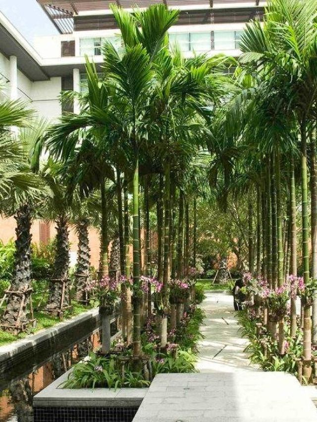 🌟✈️ Bangkok Bliss: Pullman King Power's City Oasis 🏨🌴