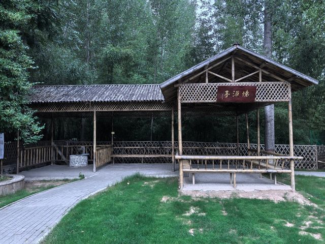 竹林水鄉西張趕
