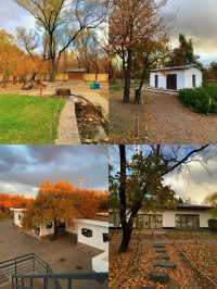 太陽島｜哈爾濱的莫奈花園