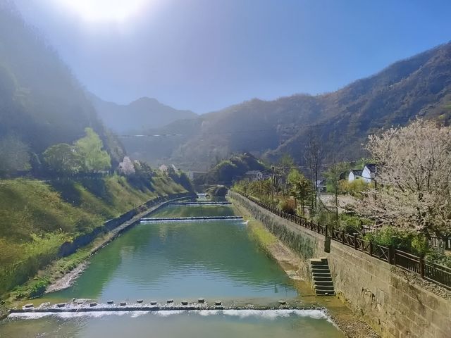 康養青山