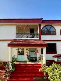 🌴🏖️ Goa's Green Door Villa: Your Beachside Haven! 🌅🍹