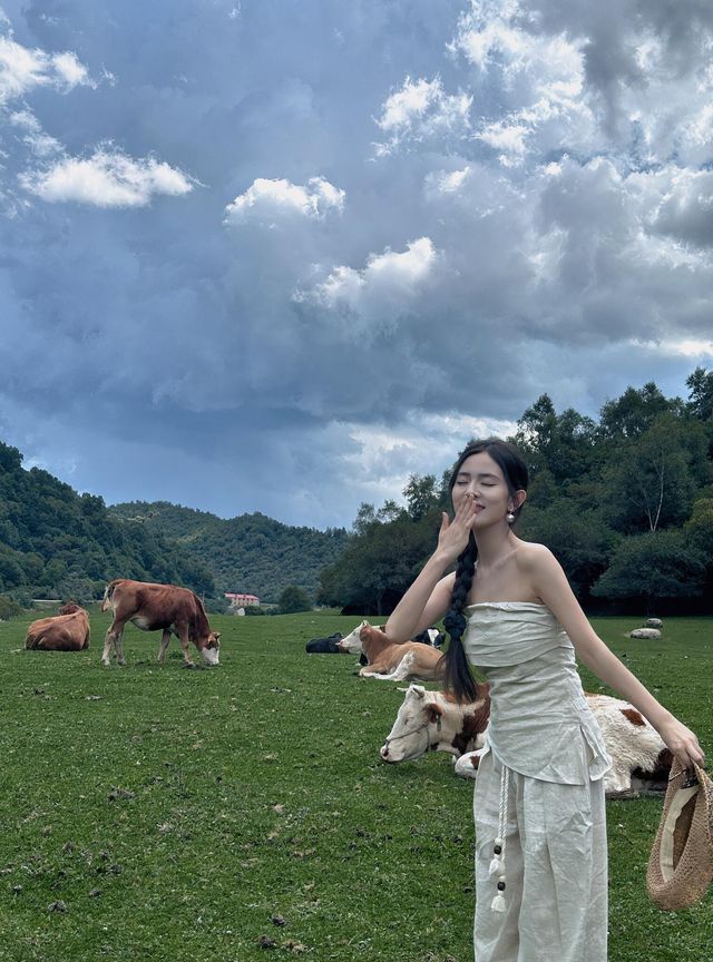 關山牧場我的阿勒泰