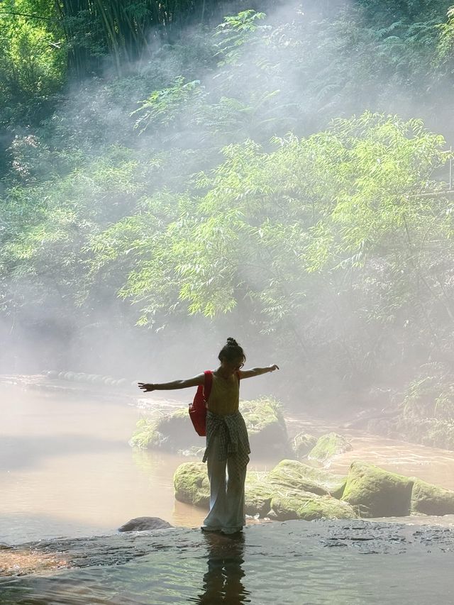成都周邊川西竹海一日遊攻略