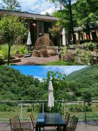 森林植被覆蓋率高，天然的避暑勝地
