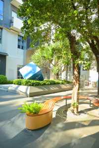 9月的深圳，依舊是37℃的夏天