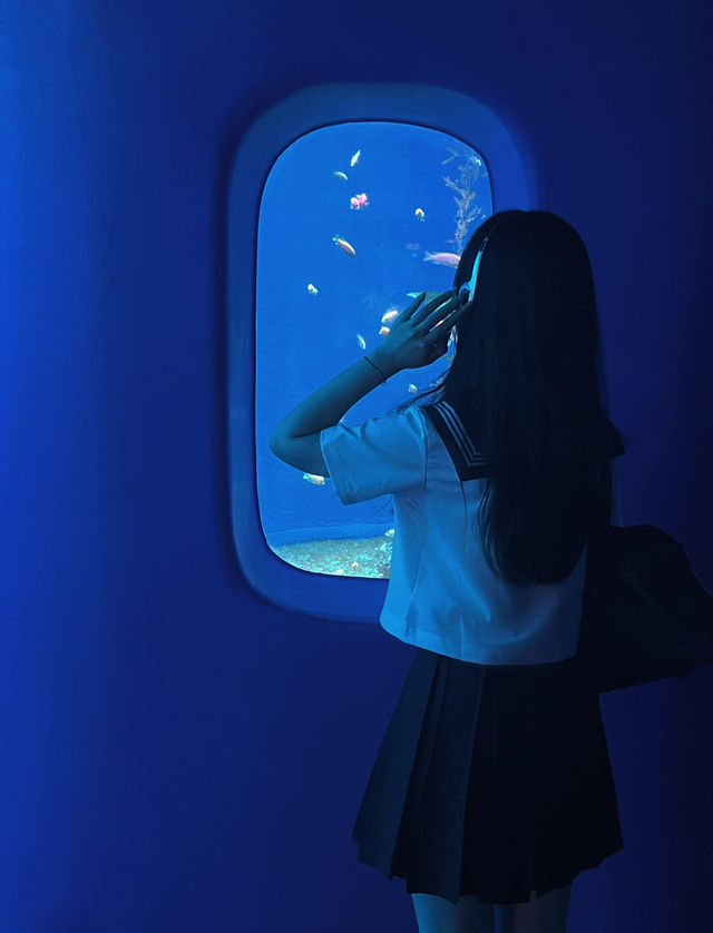 深圳海洋館拍照指南📸
