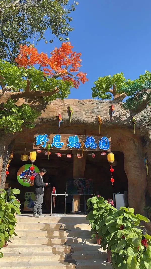 深圳週末去哪裡 | 鸚鵡愛好者的天堂