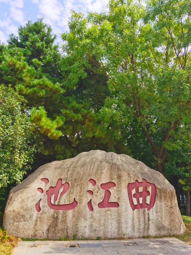 唐朝遗址的自然生態。