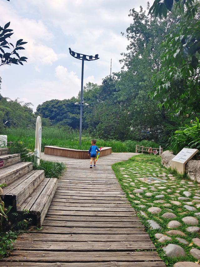 地鐵直達！藏在成都市區的無蚊公園免費玩水！