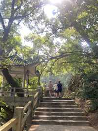 Baiyun Mountain always a great place 🎋🍃🌲🌾🪻