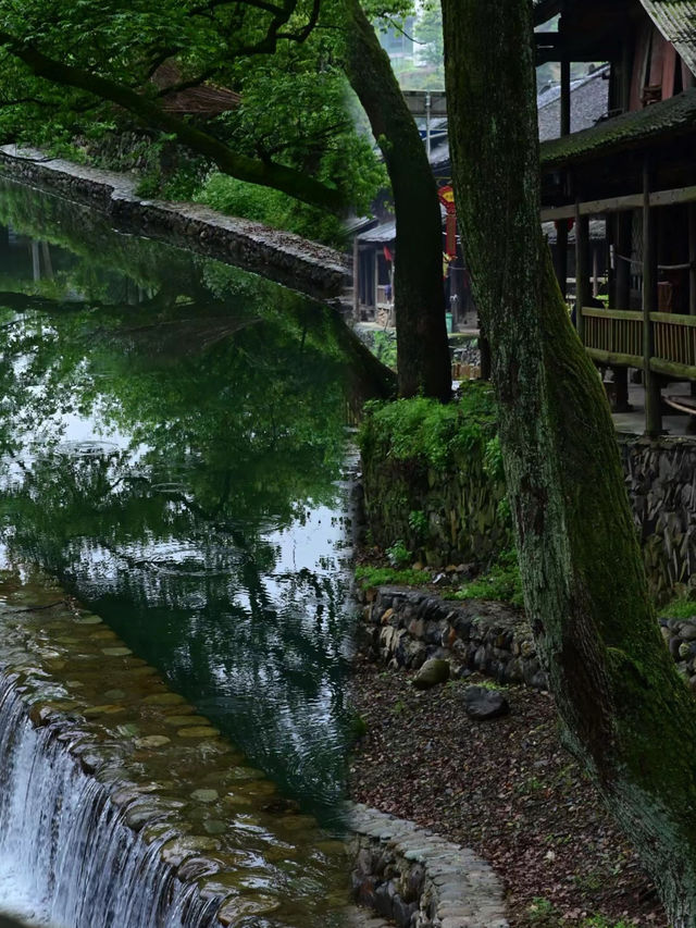 邂逅自然之美｜一步一景 陶醉在山水之間。